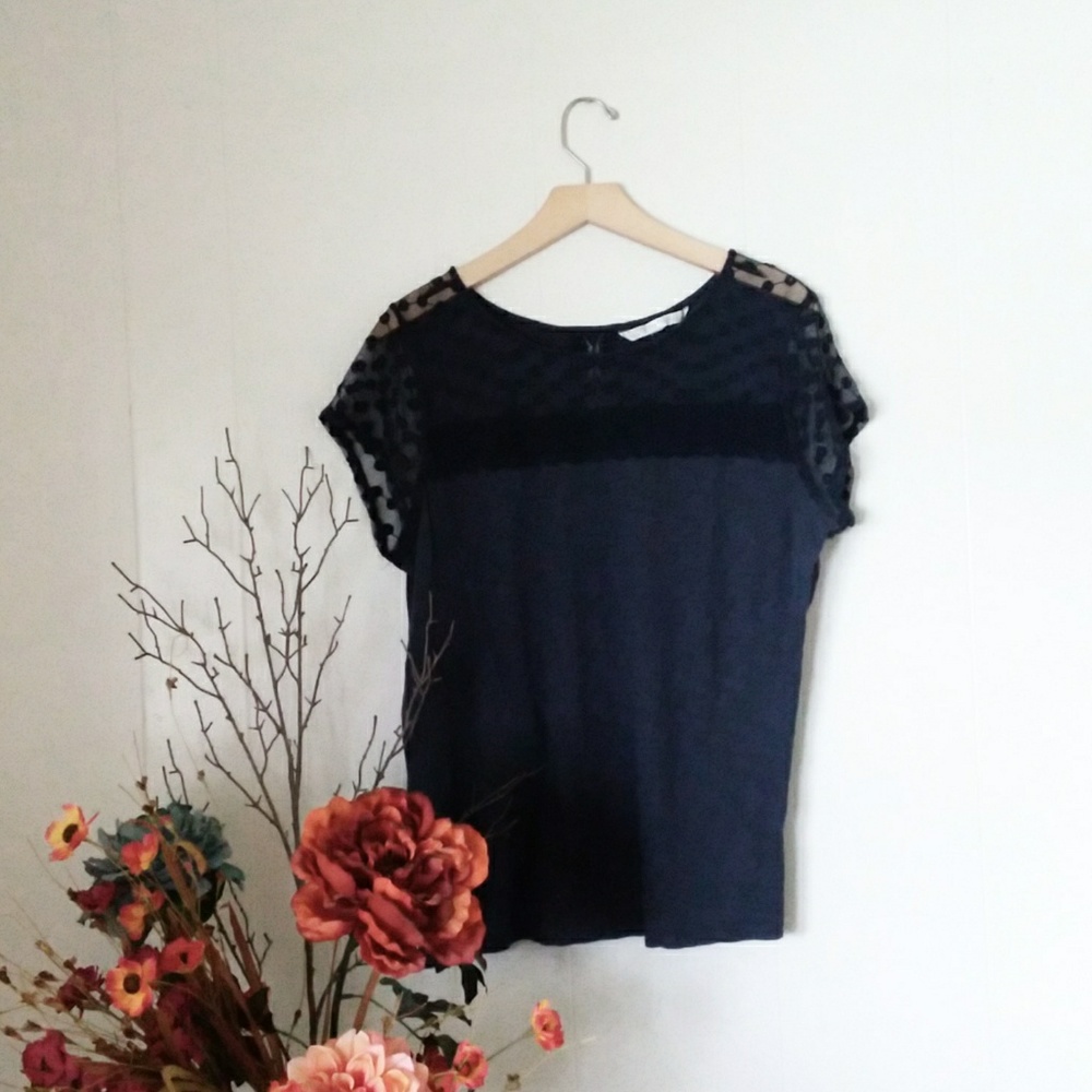 LC Top